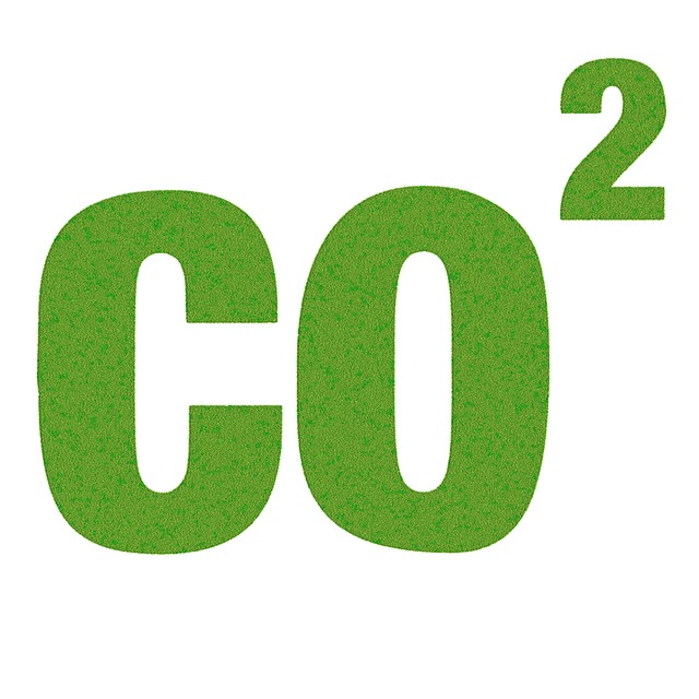 Algen CO2